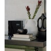 image:imageAromaTech AromaPro Bluetooth Essential Oil Diffuser for Aromatherapy Oils Nebulizing Diffusion System HeatFree System for Home or Commercial Use Covers up to 4000 Square feet BlackBlack