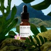 image:imageAromaTech Bora Bora Serenity Aroma Essential Oil Blend Luxury Hotel Inspired Aromatherapy with Tropical Fruit Frangipani amp Coconut for Ultrasonic Diffusers amp Nebulizers 10 mLBora Bora Serenity