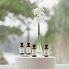 image:imageAromaTech Santal amp Love Affair Set  Aroma Diffuser Essential Oils Blend of Santal Cardamom Papyrus Musk  Love Affair Jasmin Saffron Cedar Ambergris  120 MilliliterThe Tea Collection
