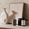 image:imageAromaTech The Bestsellers Set  Gift Set of Aroma Diffuser Essential Oils Blend of Santal The Hotel White Tea amp Thyme and Love Affair  10 mL 4 PackHotel and White Tea  Thyme