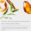 image:imageAromaTech White Tea Aroma Essential Oil Blend Luxury Hotel Inspired Aromatherapy with White Tea Orange amp Palo Santo for Ultrasonic Diffusers amp Nebulizers 120 mL4 Fl Oz Pack of 1