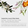 image:imageAromaTech White Tea and Thyme Aroma Essential Oil Blend Luxury Hotel Inspired Aromatherapy with Tea Leaf Fresh Thyme amp Amber for Ultrasonic Diffusers 4 Fl Oz Pack of 1169 Fl Oz Pack of 1